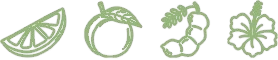 Icon1